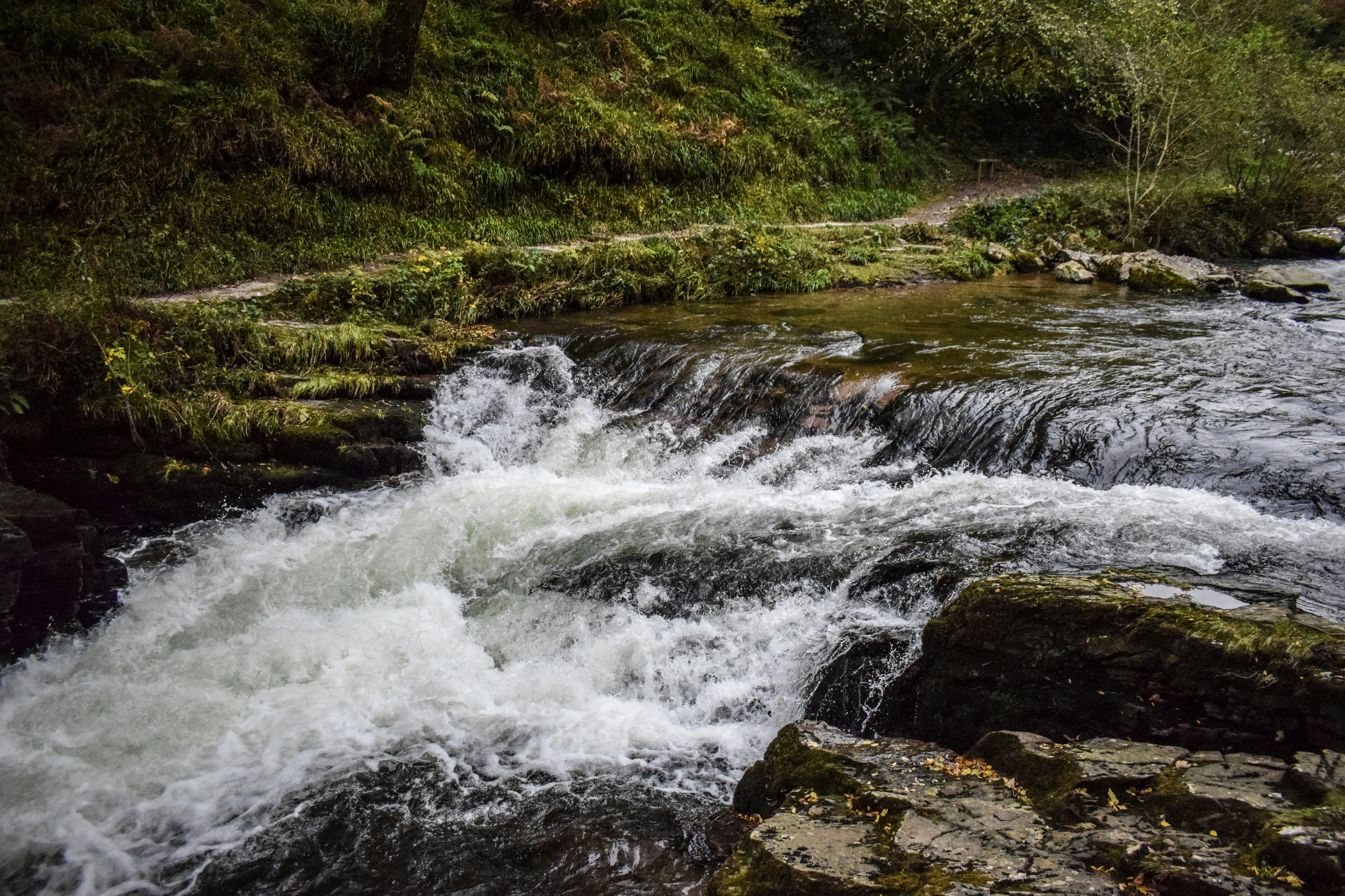 Photo by taylor_cowling_photos