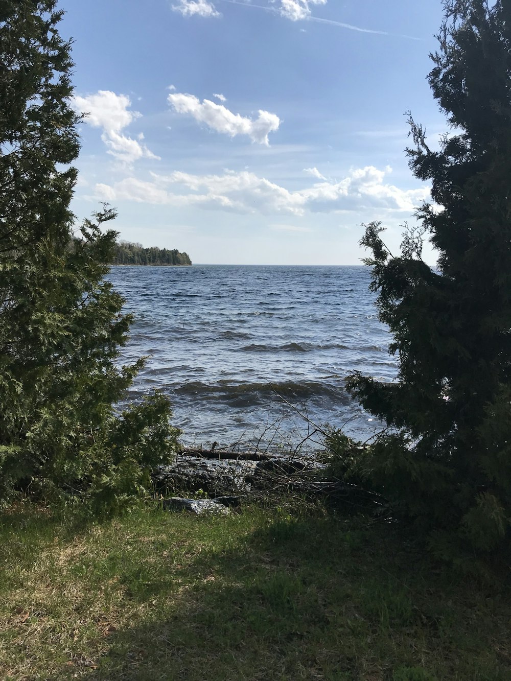 a view of a body of water through some trees