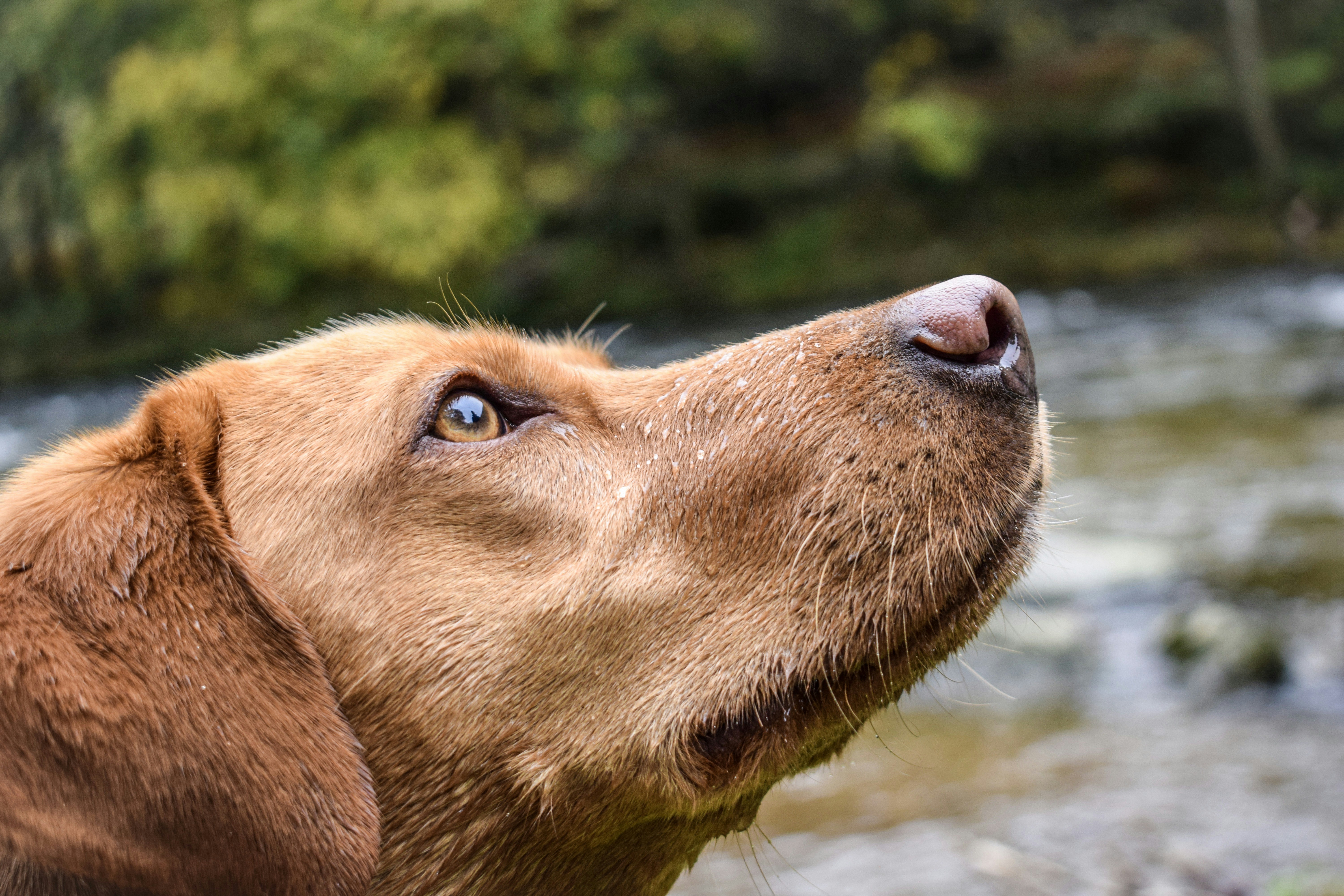 Photo by taylor_cowling_photos