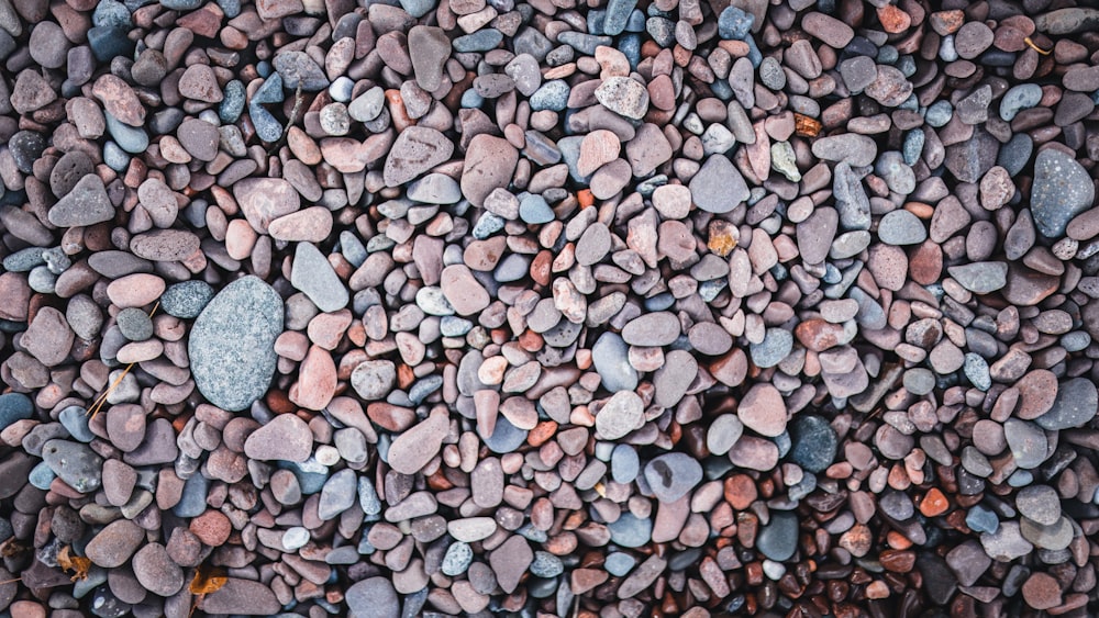 gray and brown stones on ground