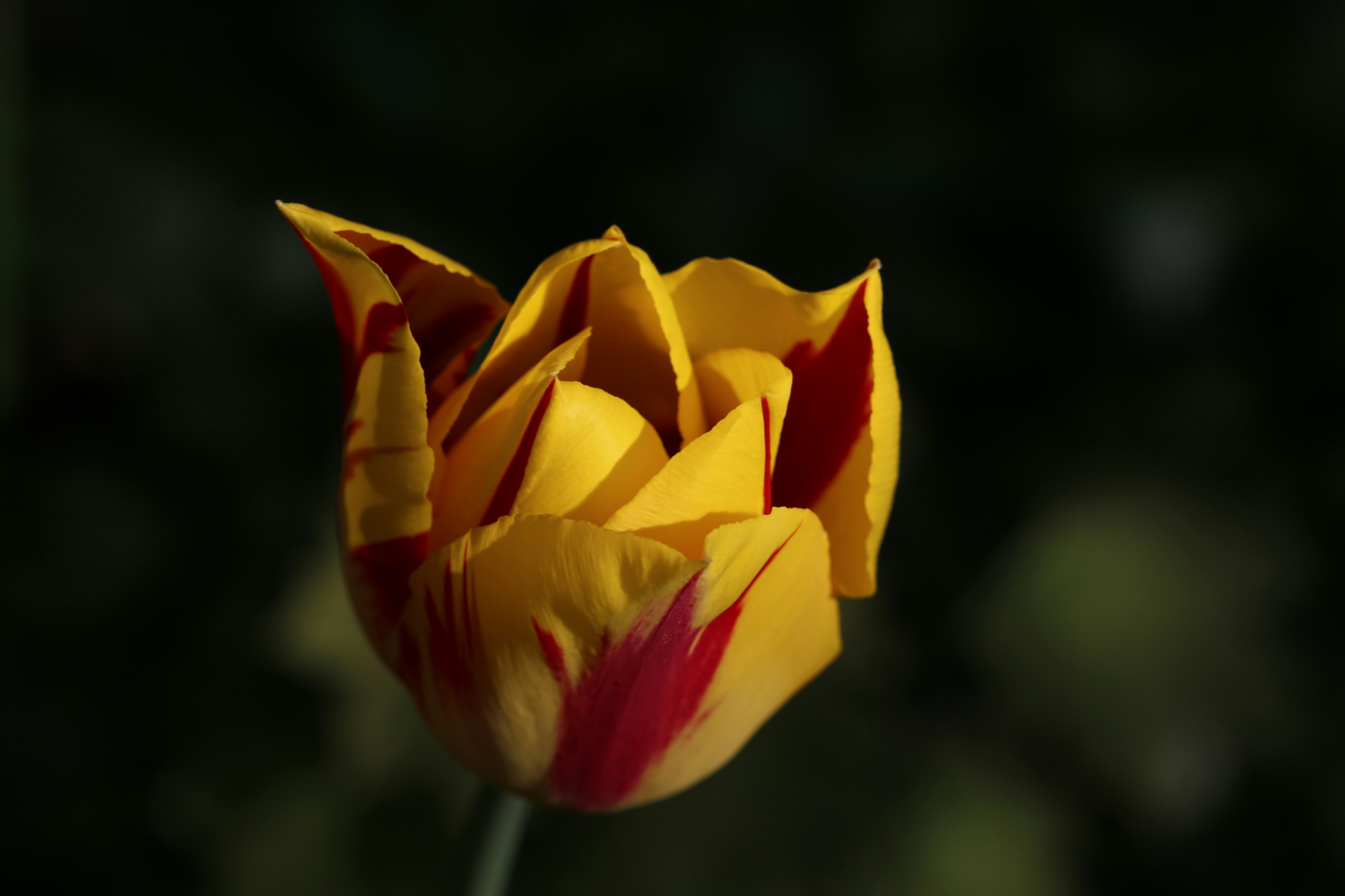 Photo by georgeiermann