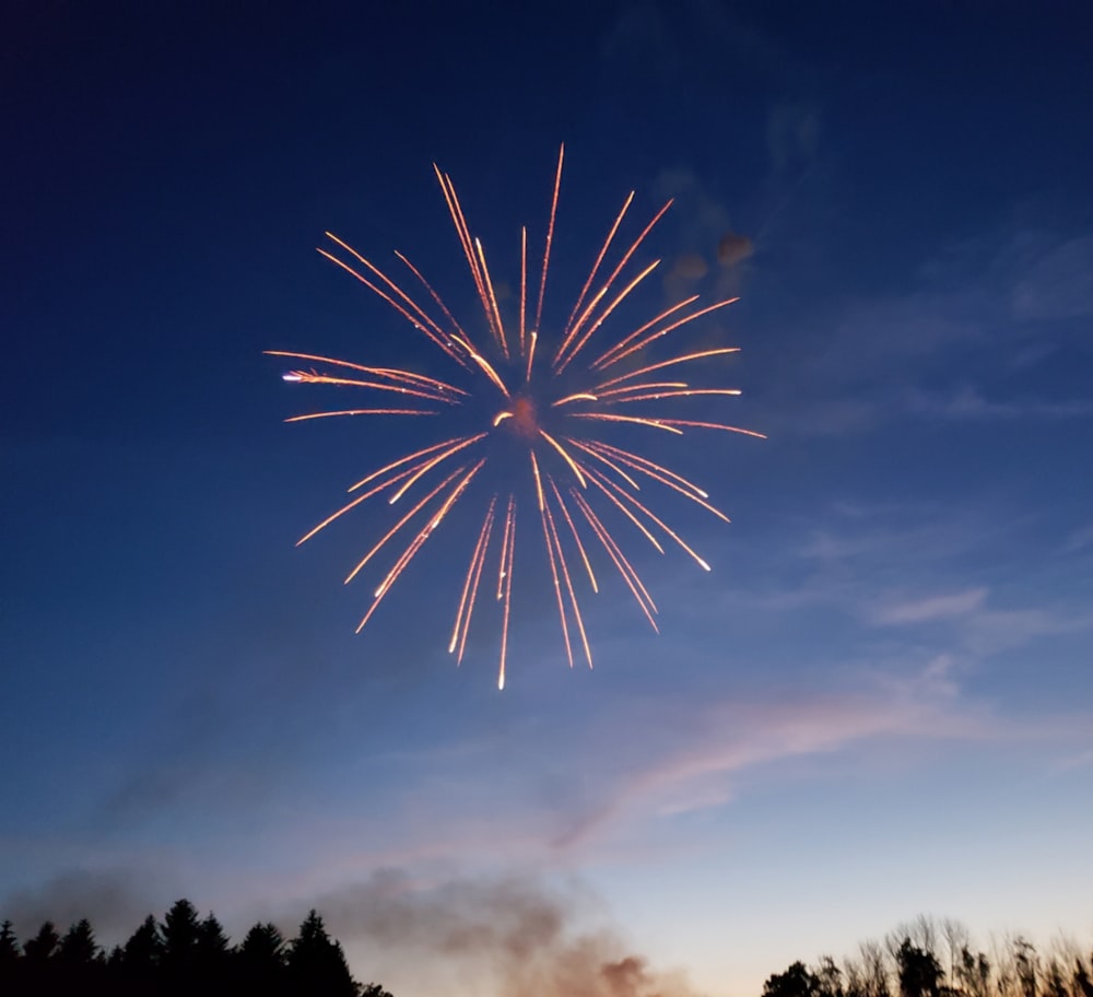 firework display photograph