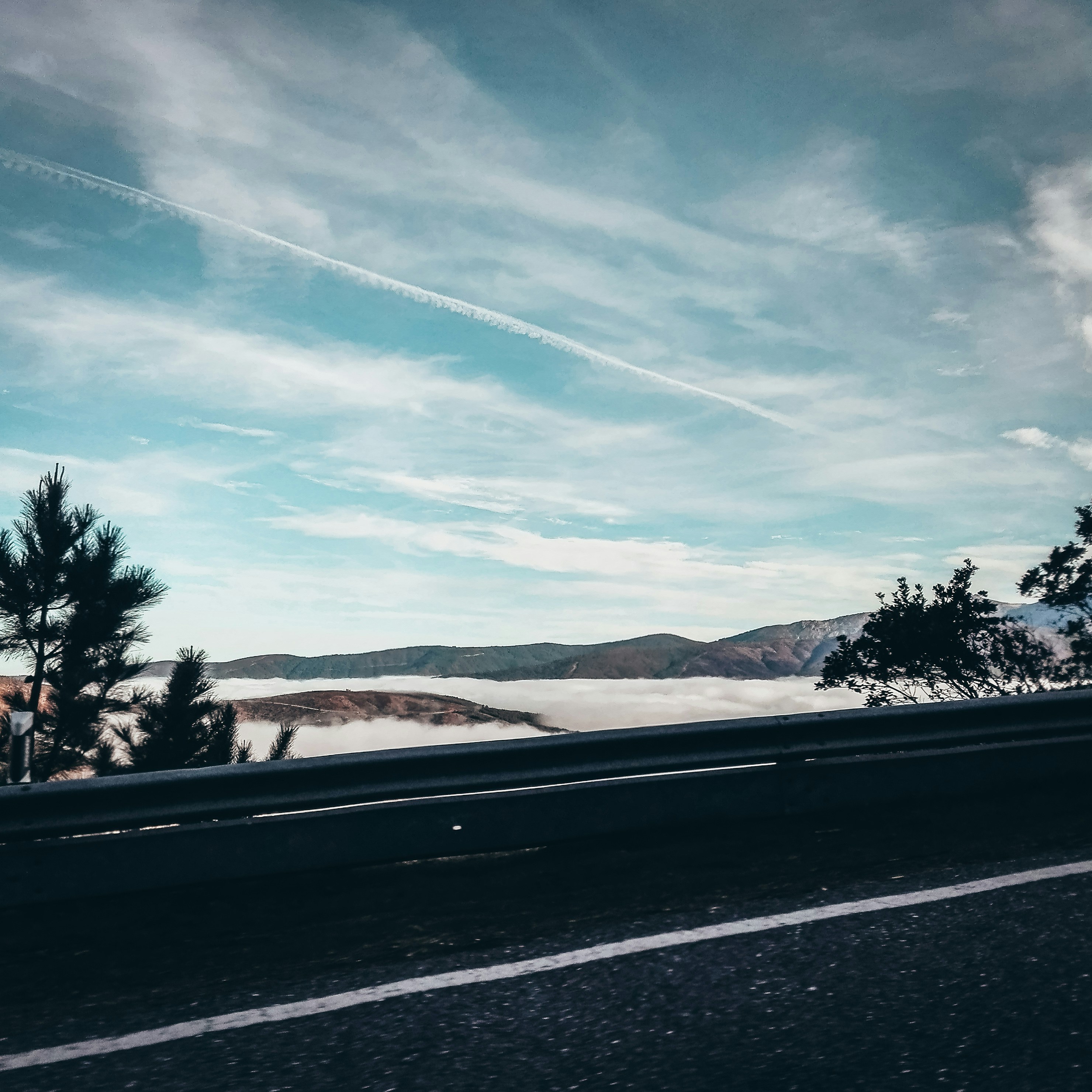 Photo by ricardo_da_silva