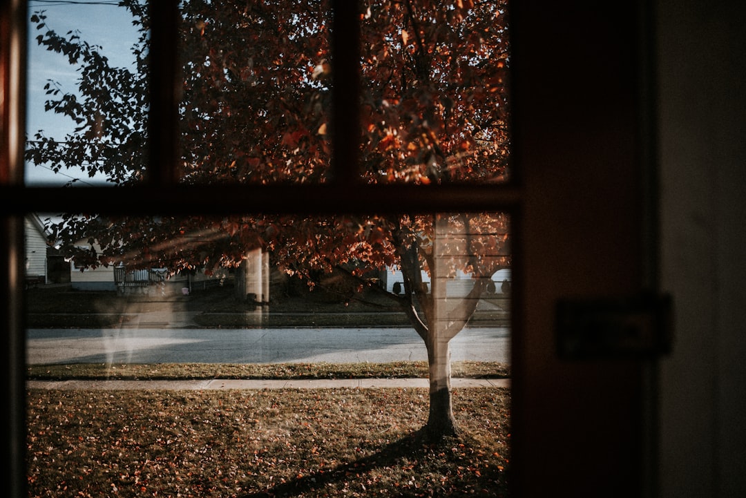 brown wooden framed clear glass window