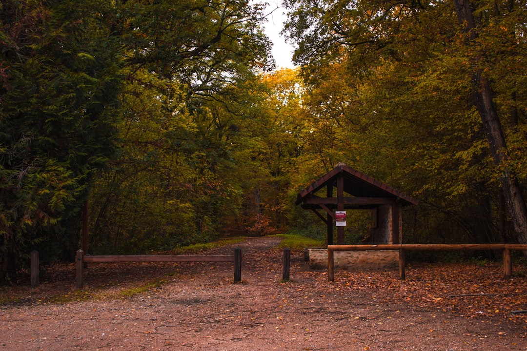 Forest photo spot Montigny-le-Bretonneux Versailles