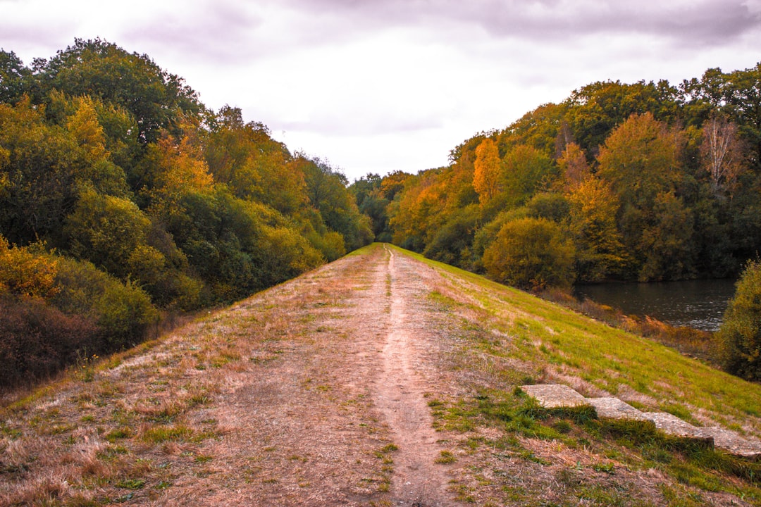 Nature reserve photo spot Montigny-le-Bretonneux Guyancourt