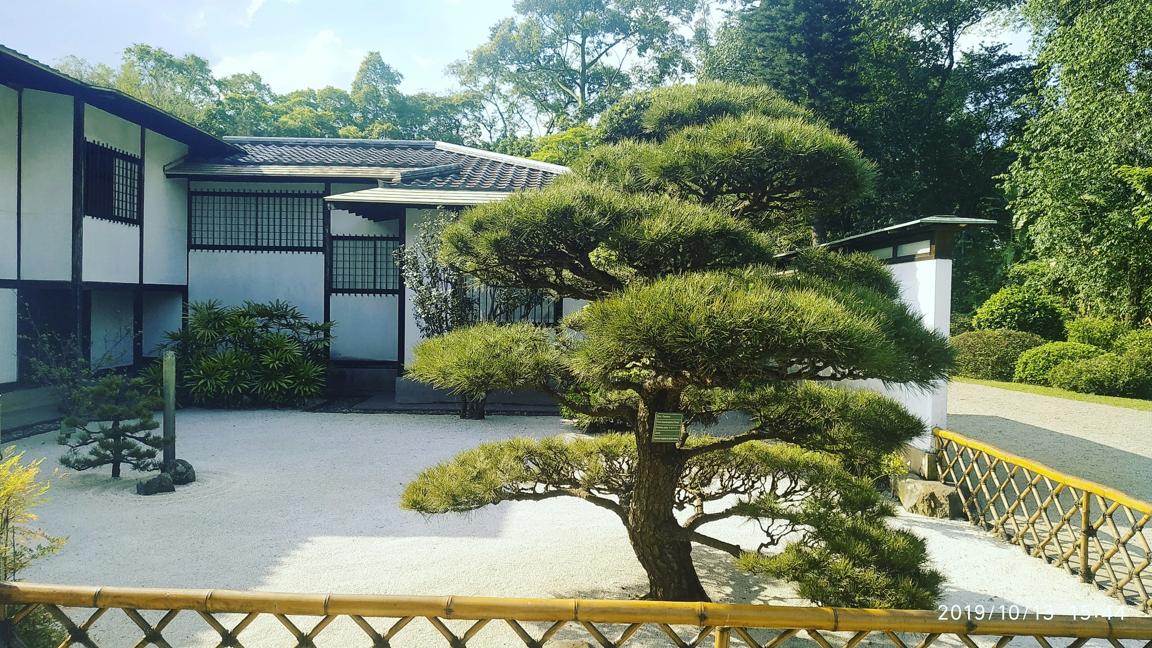 green trees and white and blue painted house