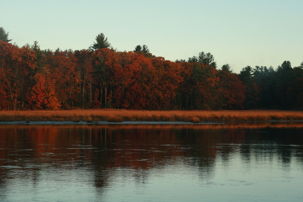 calm body of water