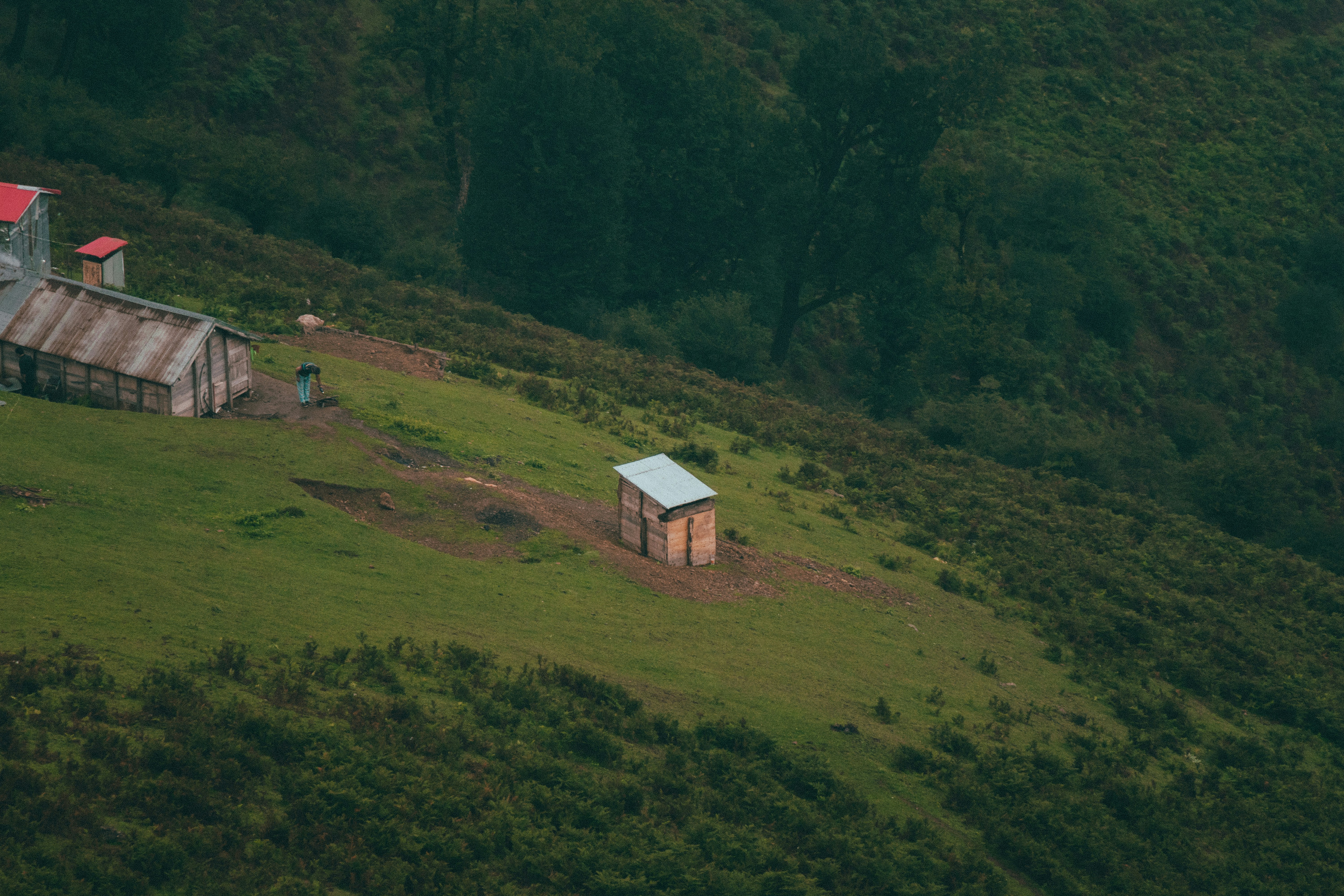 Photo by sajjadahmadi