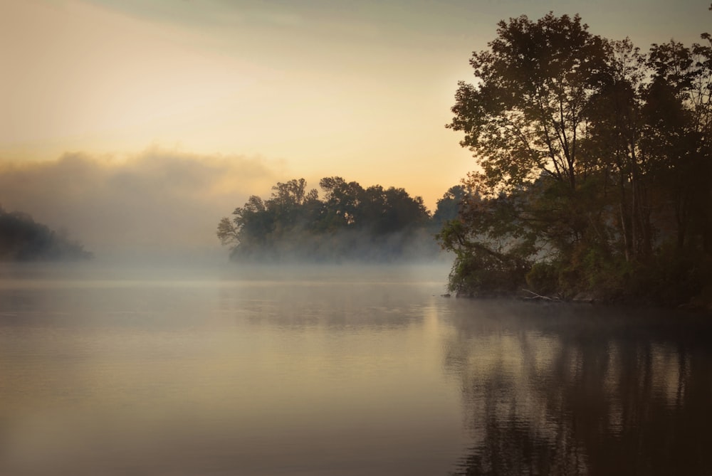 lake in forest