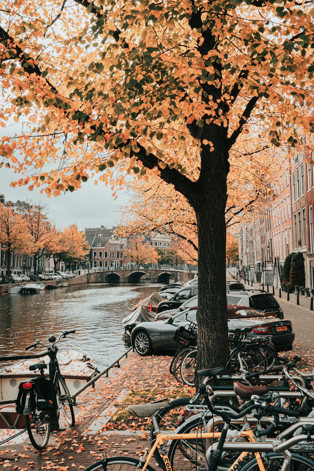 vehicles and bicycles parked on sidewalk beside a canal