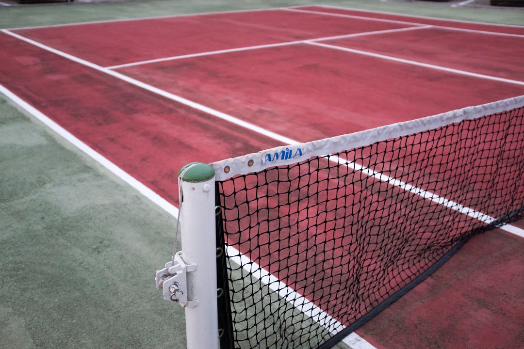 white and black goal net