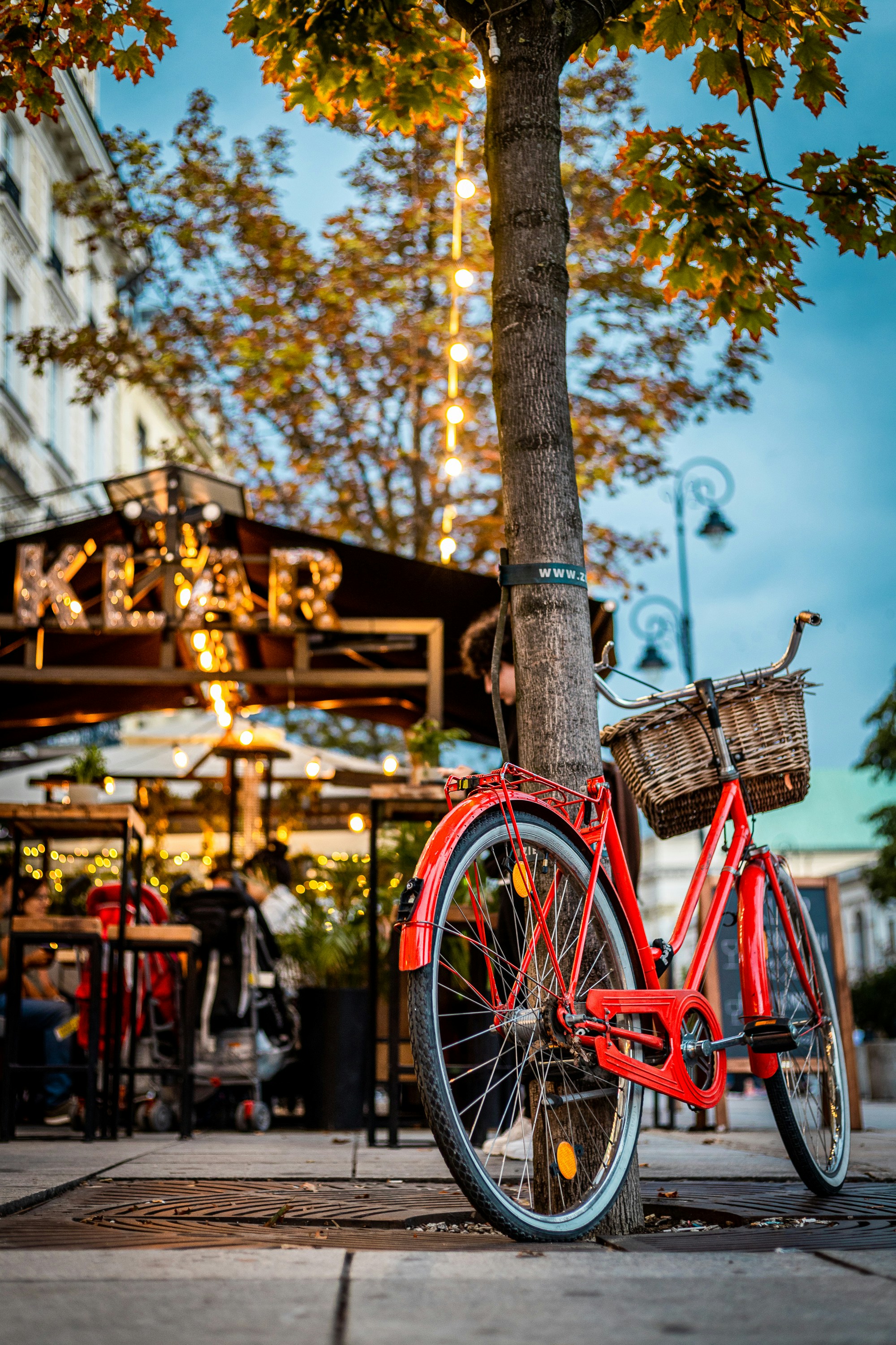 red bike parked beside tree during daytime