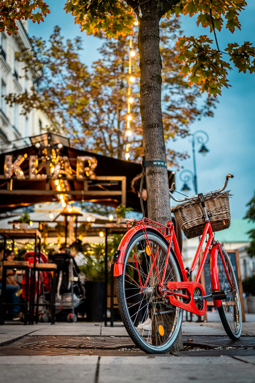 red bike parked beside tree during daytime