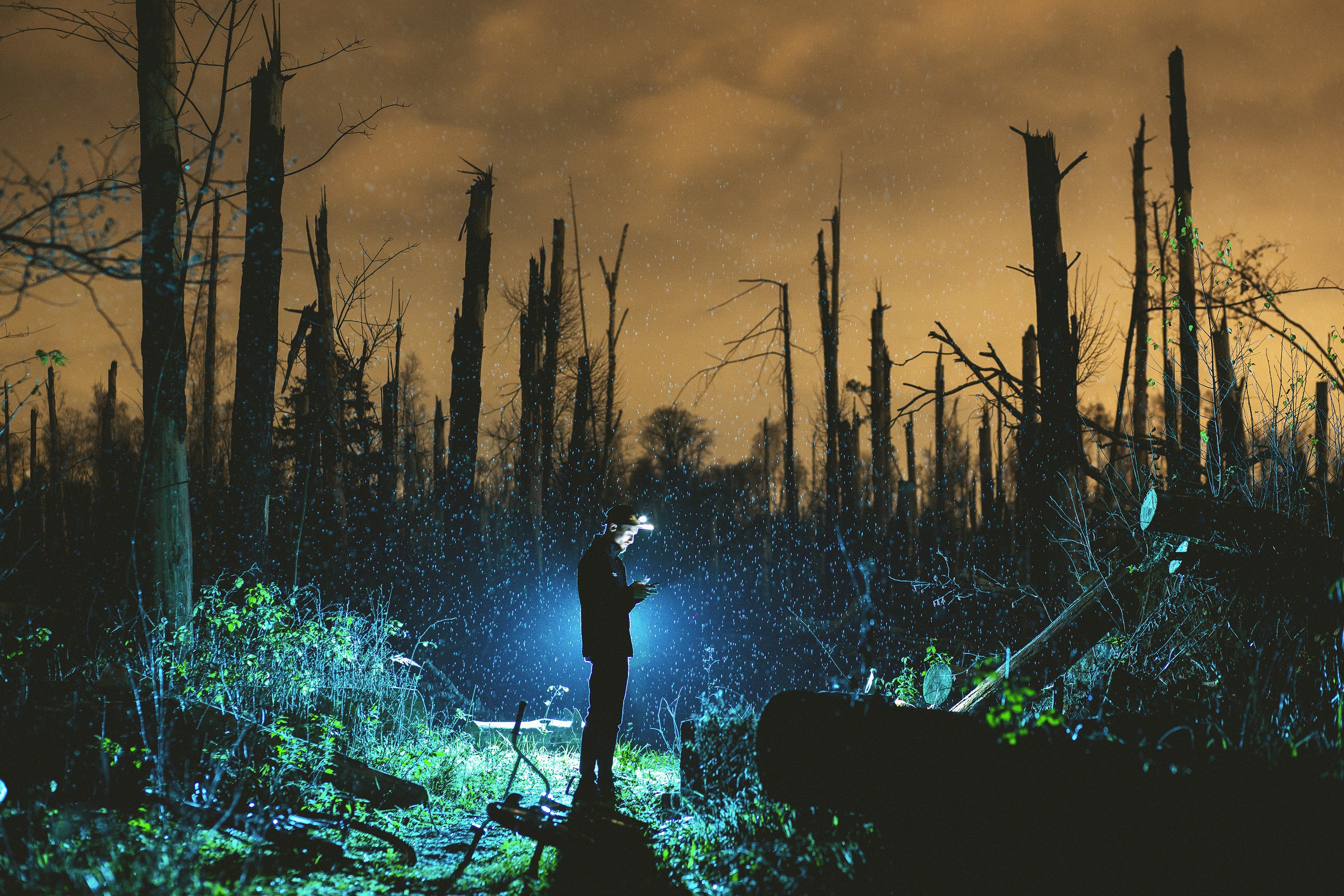 man using phone while standing near bare trees