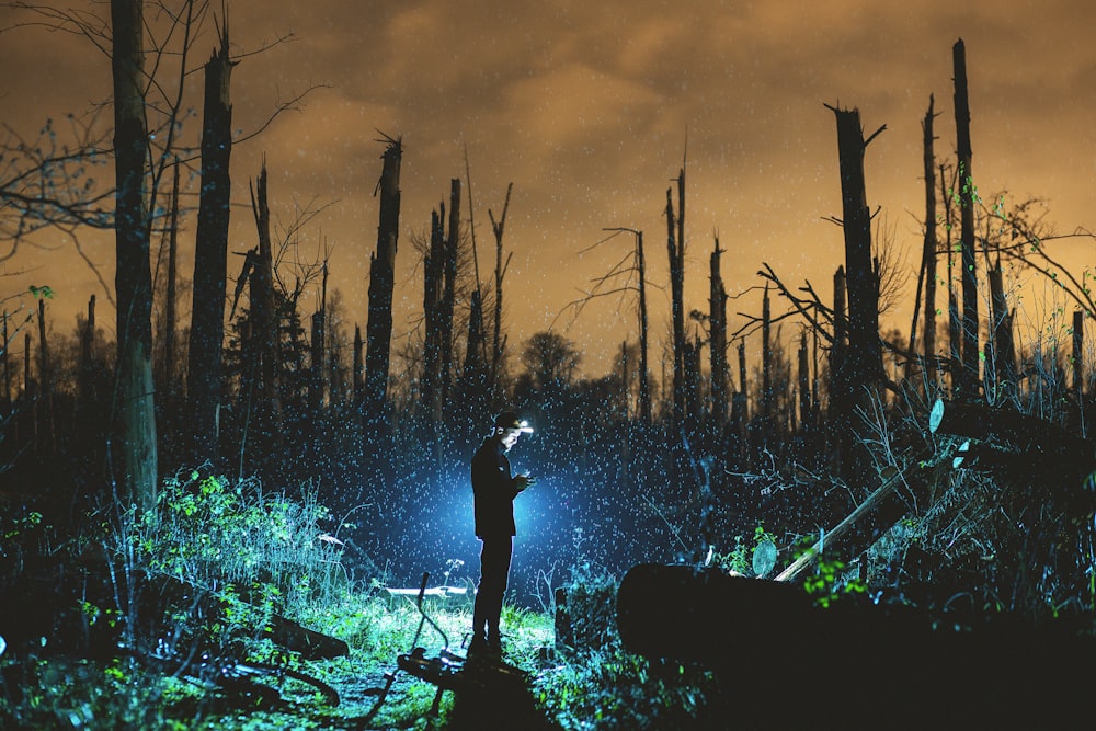 homme utilisant le téléphone alors qu’il se tient près d’arbres nus