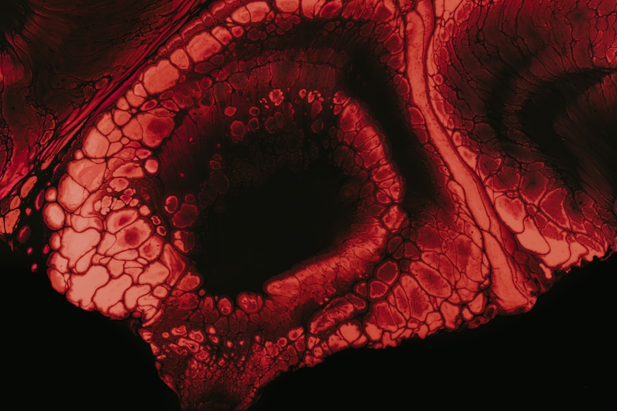 Senilna Degeneracija Makule: Uzroci, Simptomi i Prevencija Gubitka Vida kod Starijih Osoba