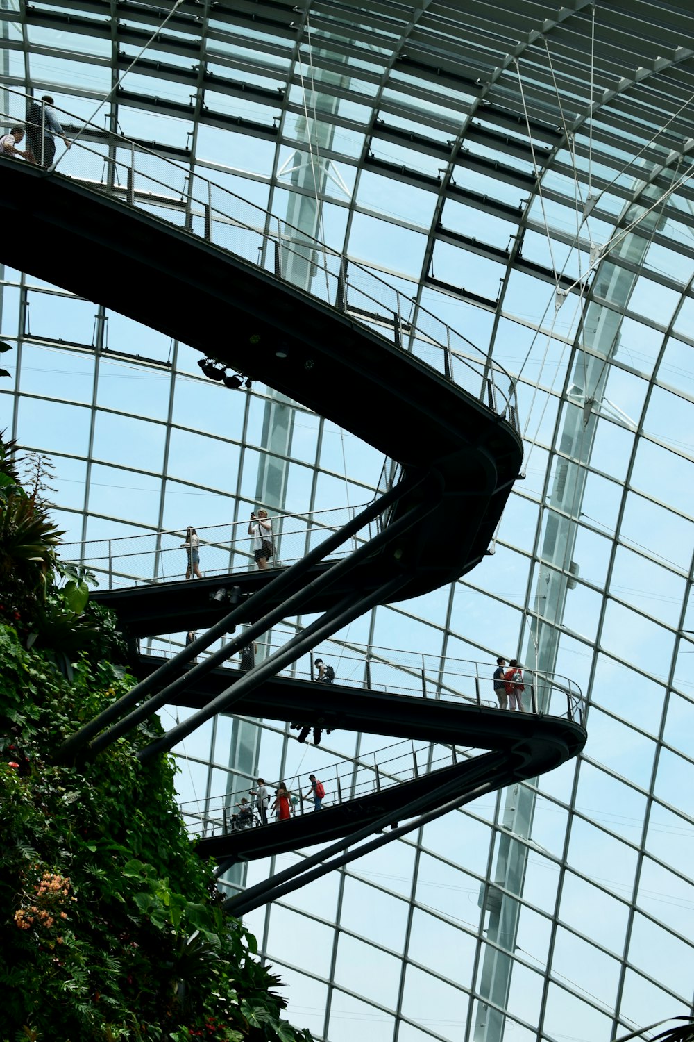 people inside glass walled building