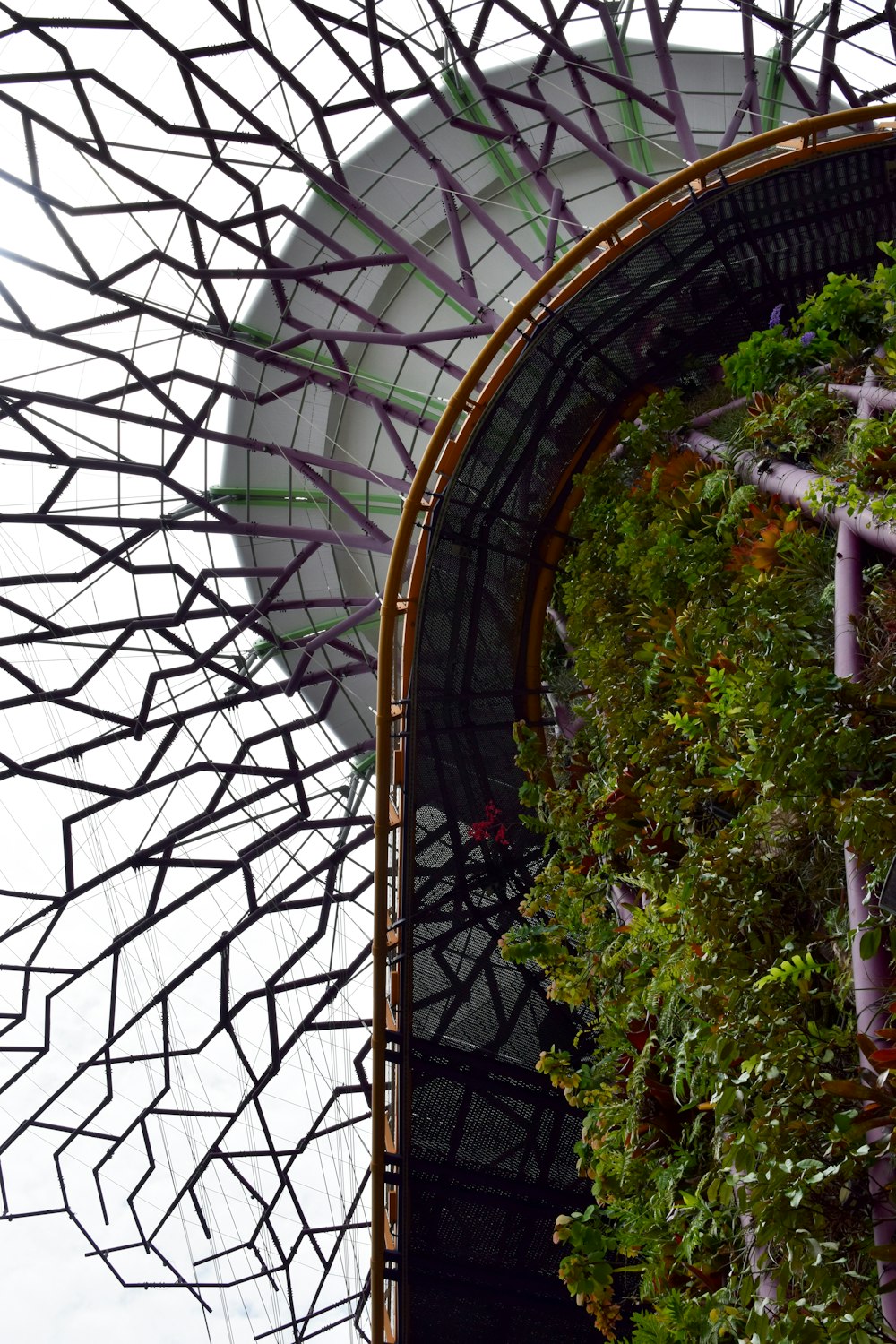 low-angle photography of Gardens by the Bay in Singapore