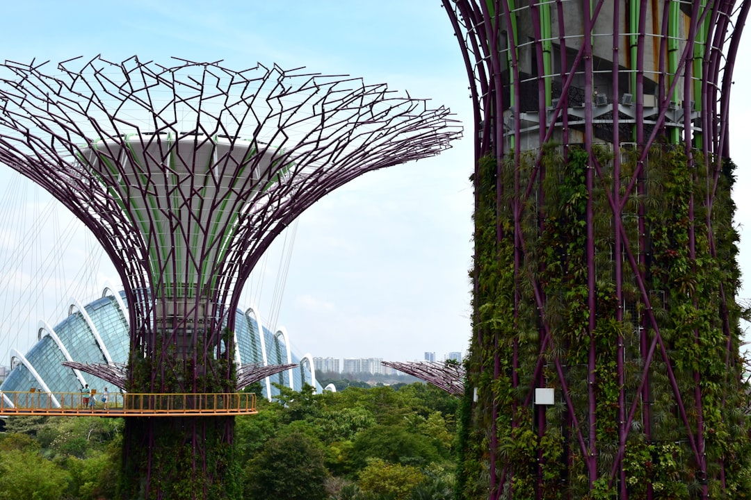 Gardens by the bay in Singapore during daytime