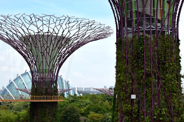 Gardens by the Bay — Supertree Grove & Children's Garden