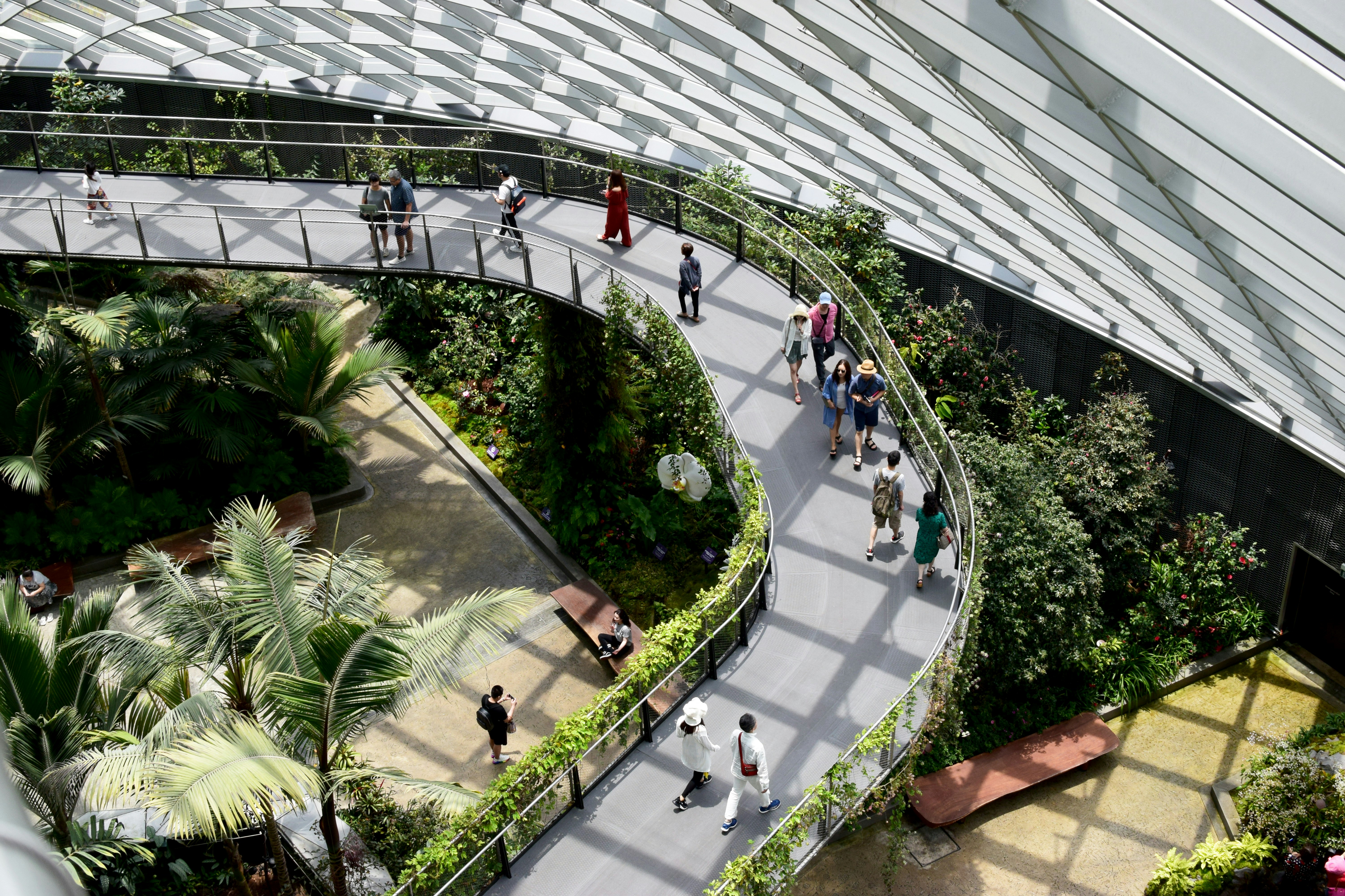 Photo by matthewwaring