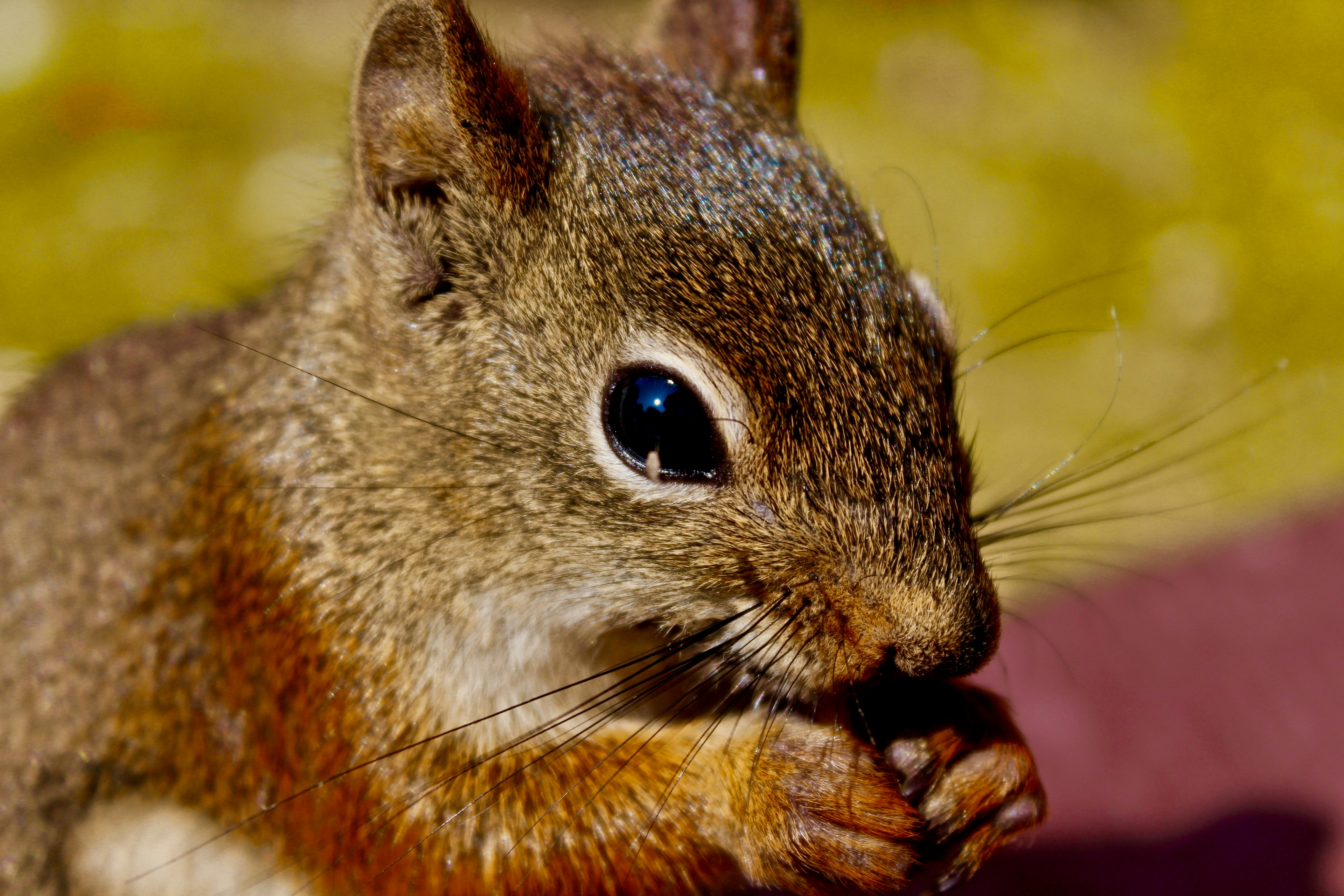 Photo by maddie_ingram