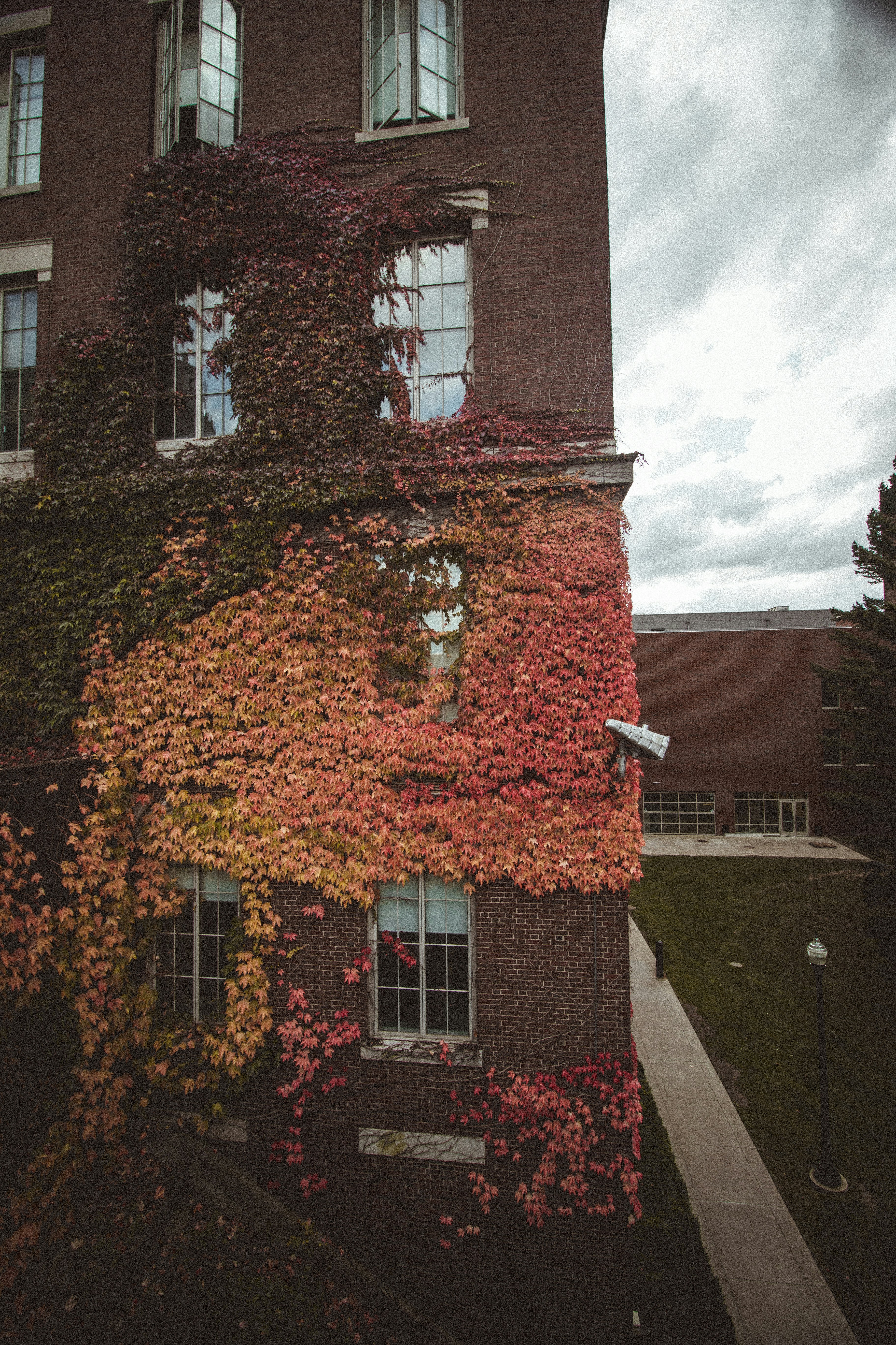 Photo by yassine_khalfalli