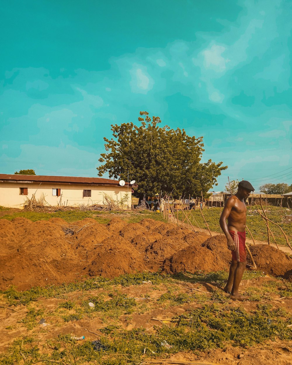 homem de pé ao lado das árvores