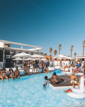 people on swimming pool