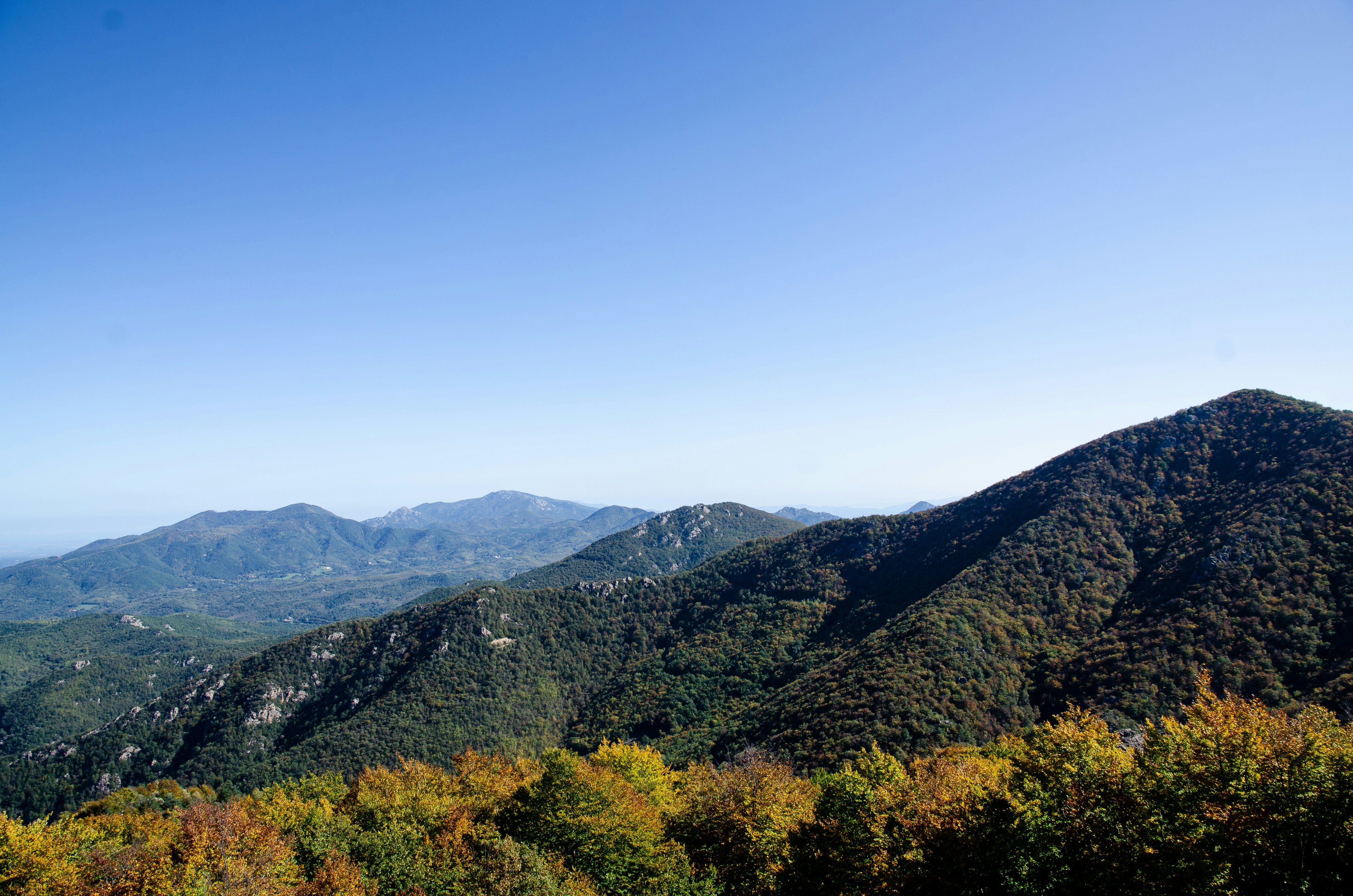 Photo by guillemcotcha