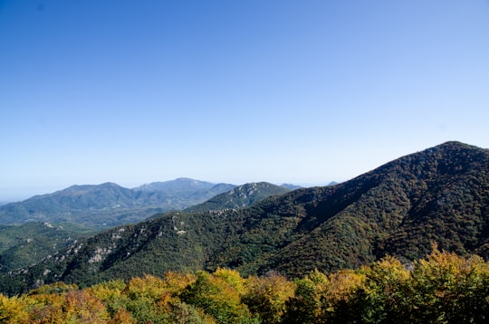 green mountain during daytime in Serralongue France