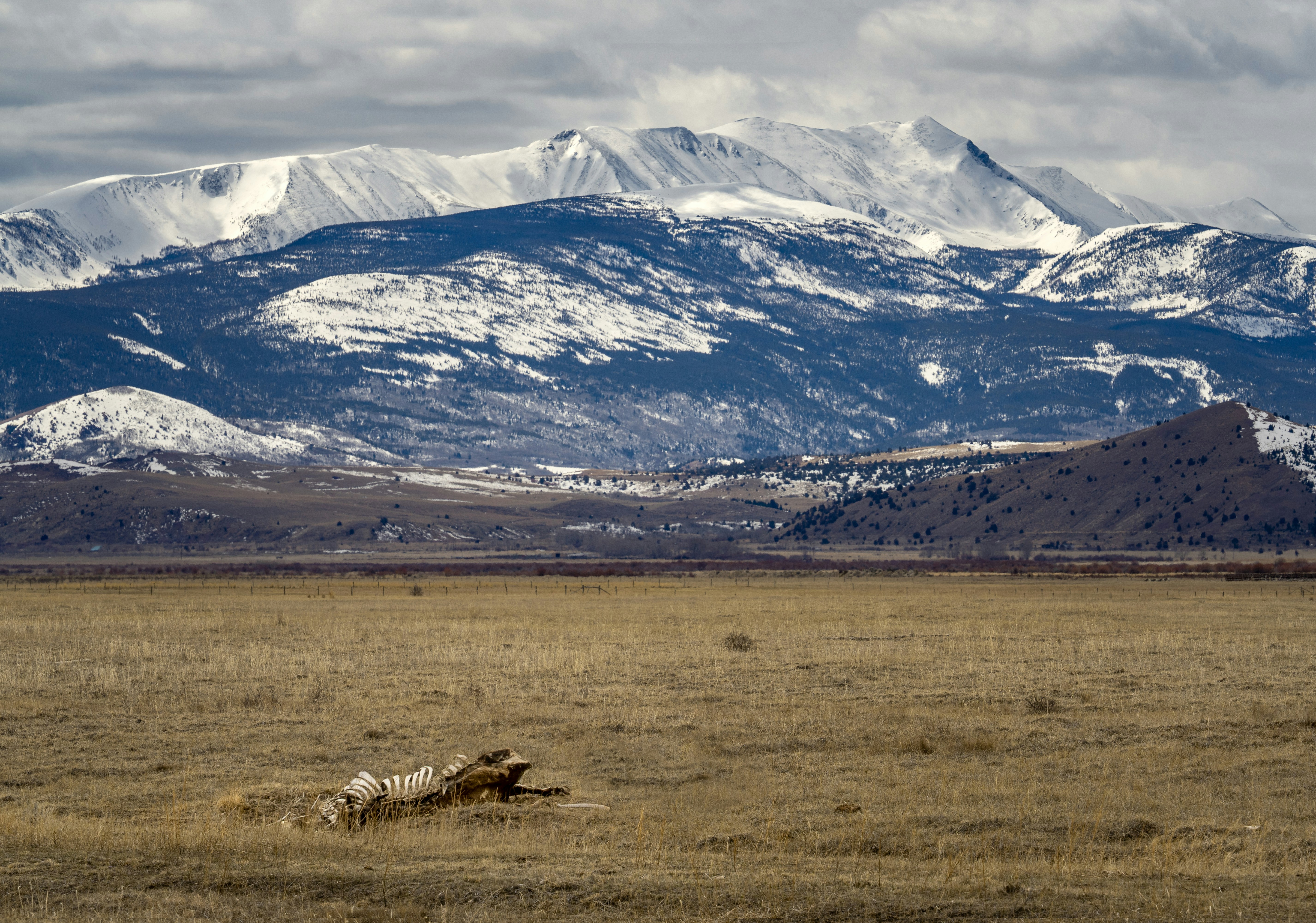Photo by chadpeltola