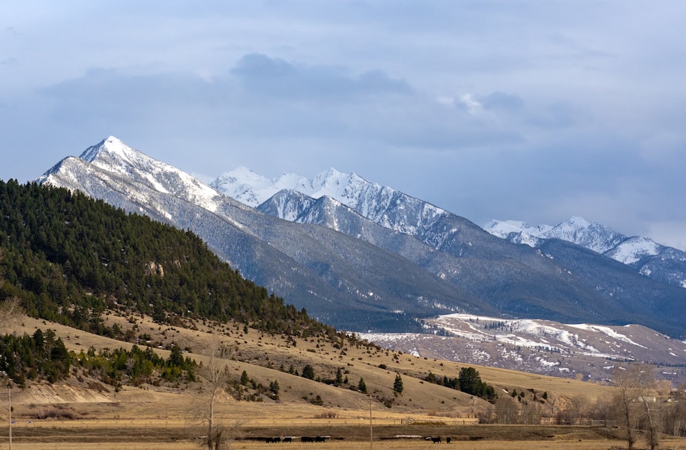 white mountains under gray sky