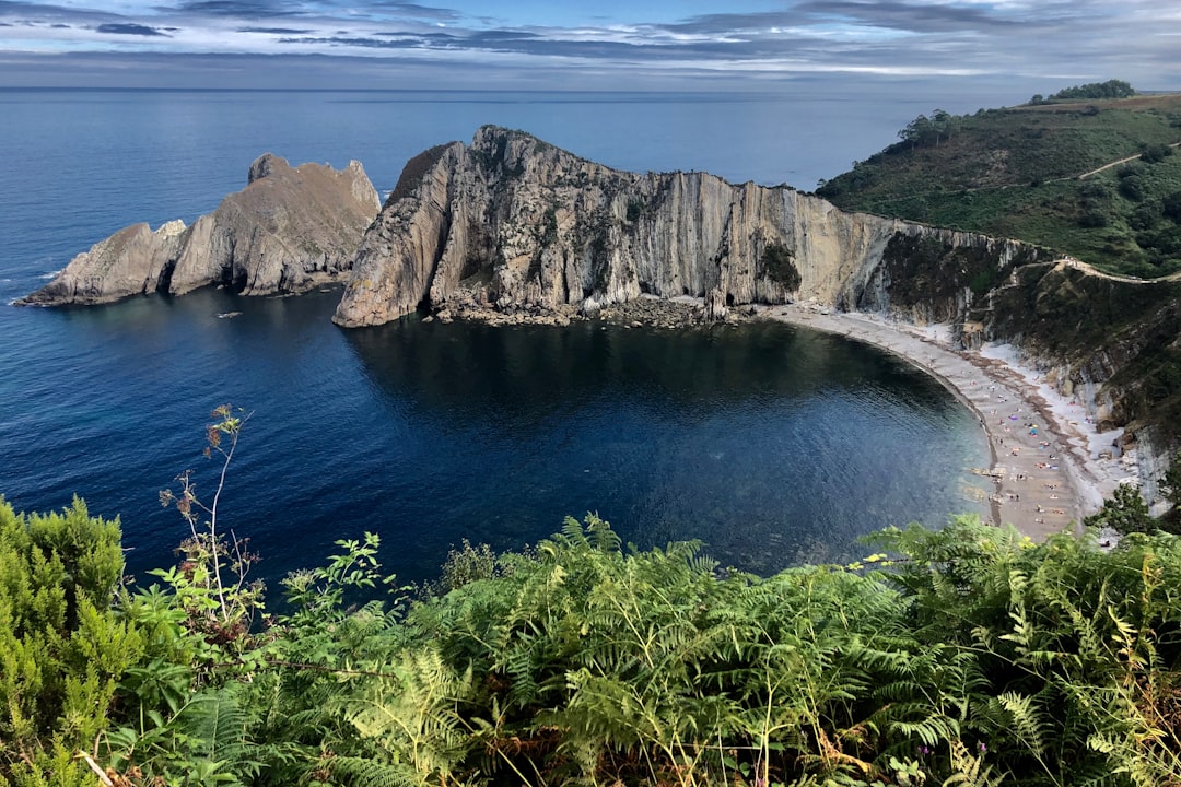 cliff facing ocean