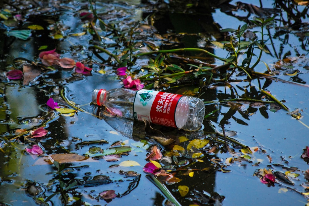 bottle on body of water during daytime