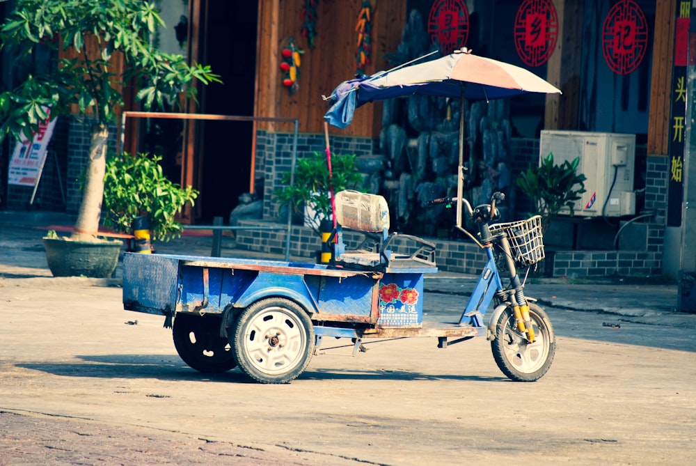 blue adult trike