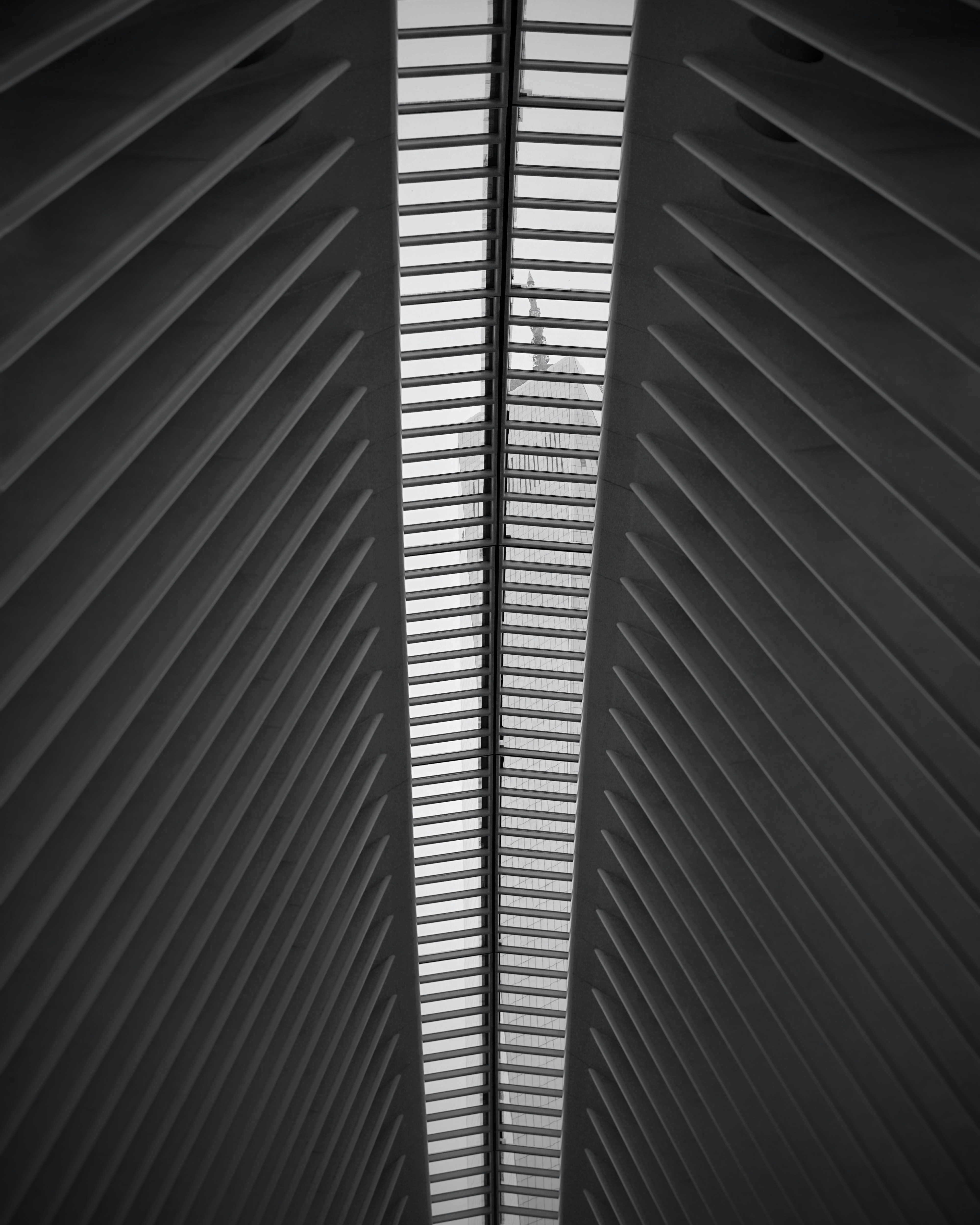 Photo by chadpeltola