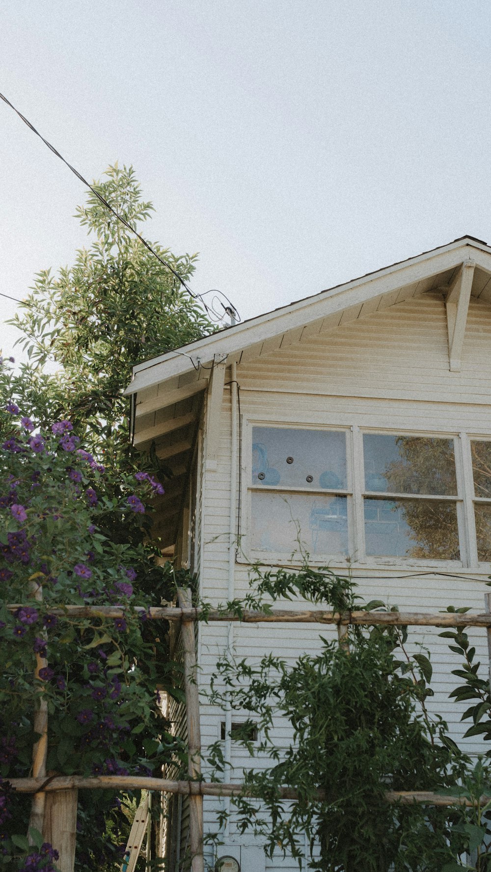 photo of white wooden house with floral fence