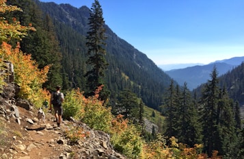 A hiker with a backpack walks along a rocky trail accompanied by a dog. The path is surrounded by lush evergreen trees and shrubs with vibrant autumn colors. Majestic mountains rise in the background under a clear blue sky.