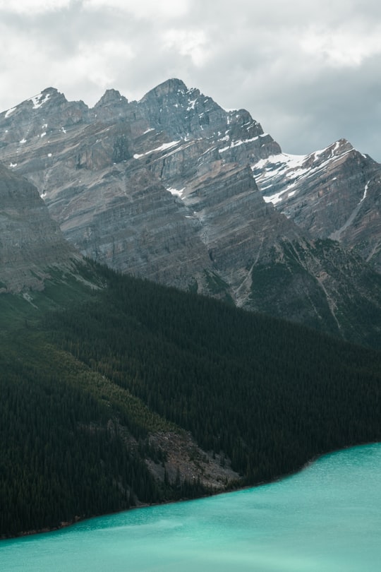 trees and mountains under heavy clouds in Peyto Lake Canada