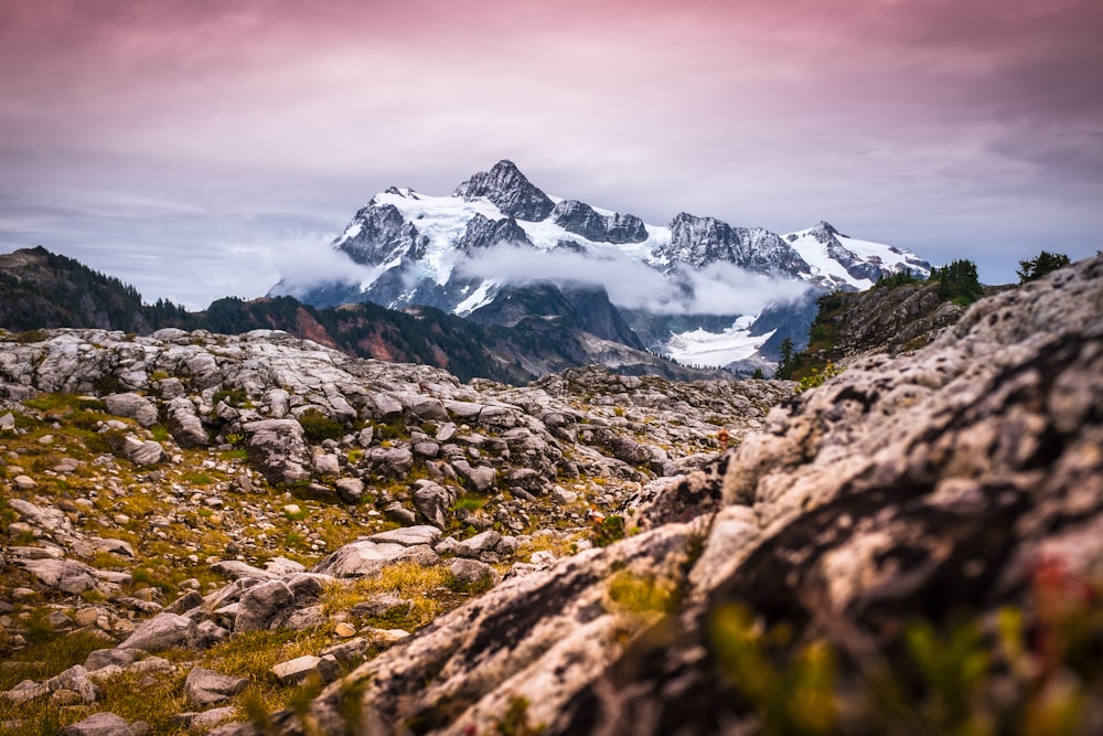 mountain during winter season