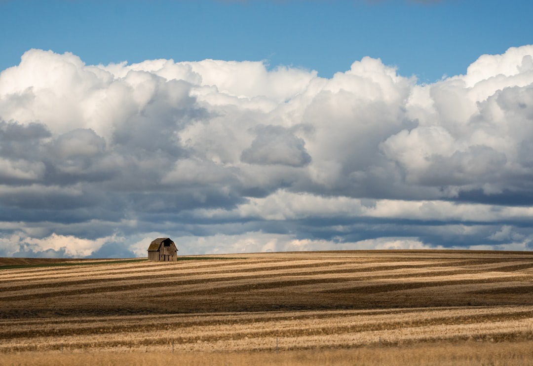 brown field cloudy sky during daytime