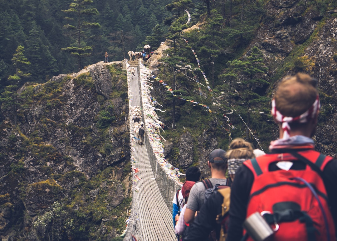 people crossing on gray hanging bridge