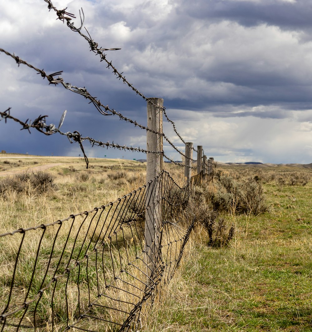 gray metal barb wire on green field under white and blue sky during daytime