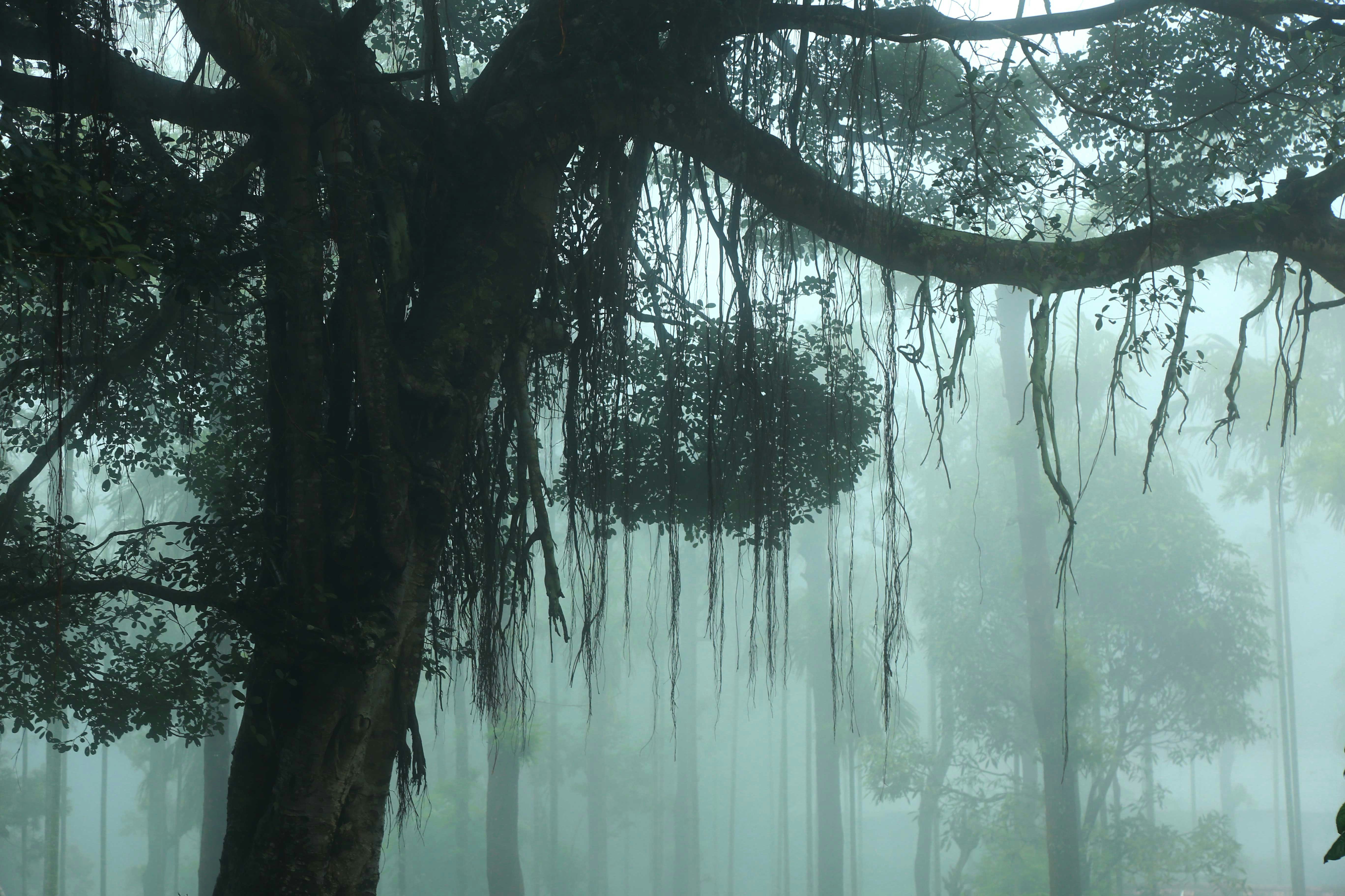 Photo by wilsanphotography