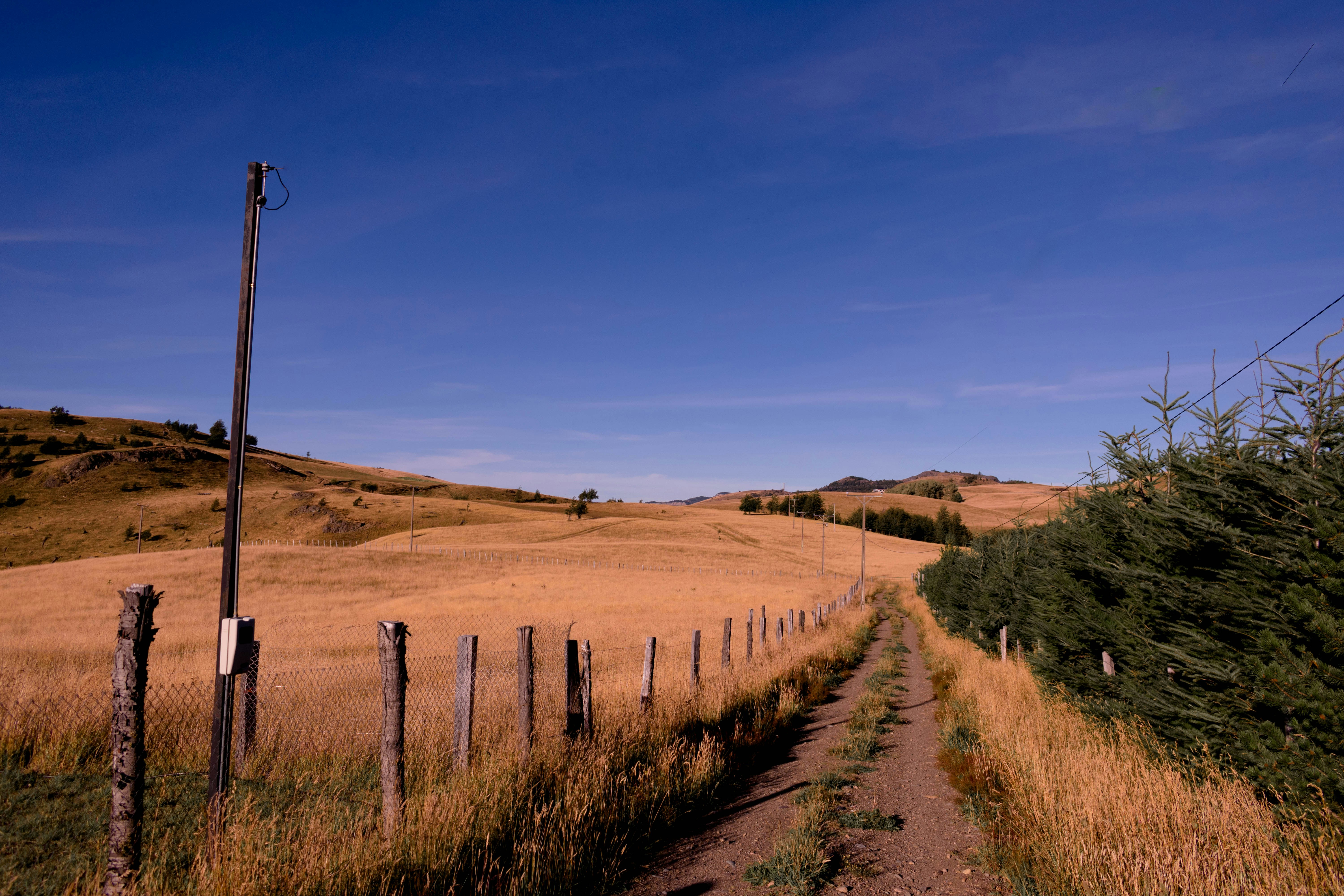 Photo by javideografia