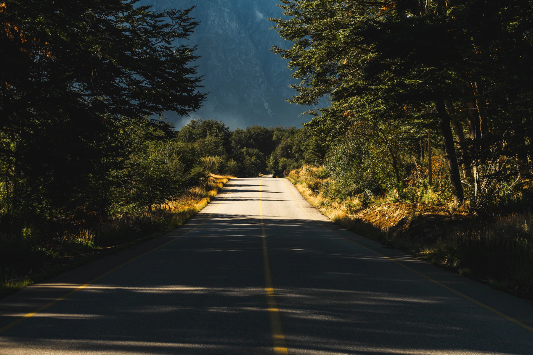 Road through trees near Coyhaique, Chile