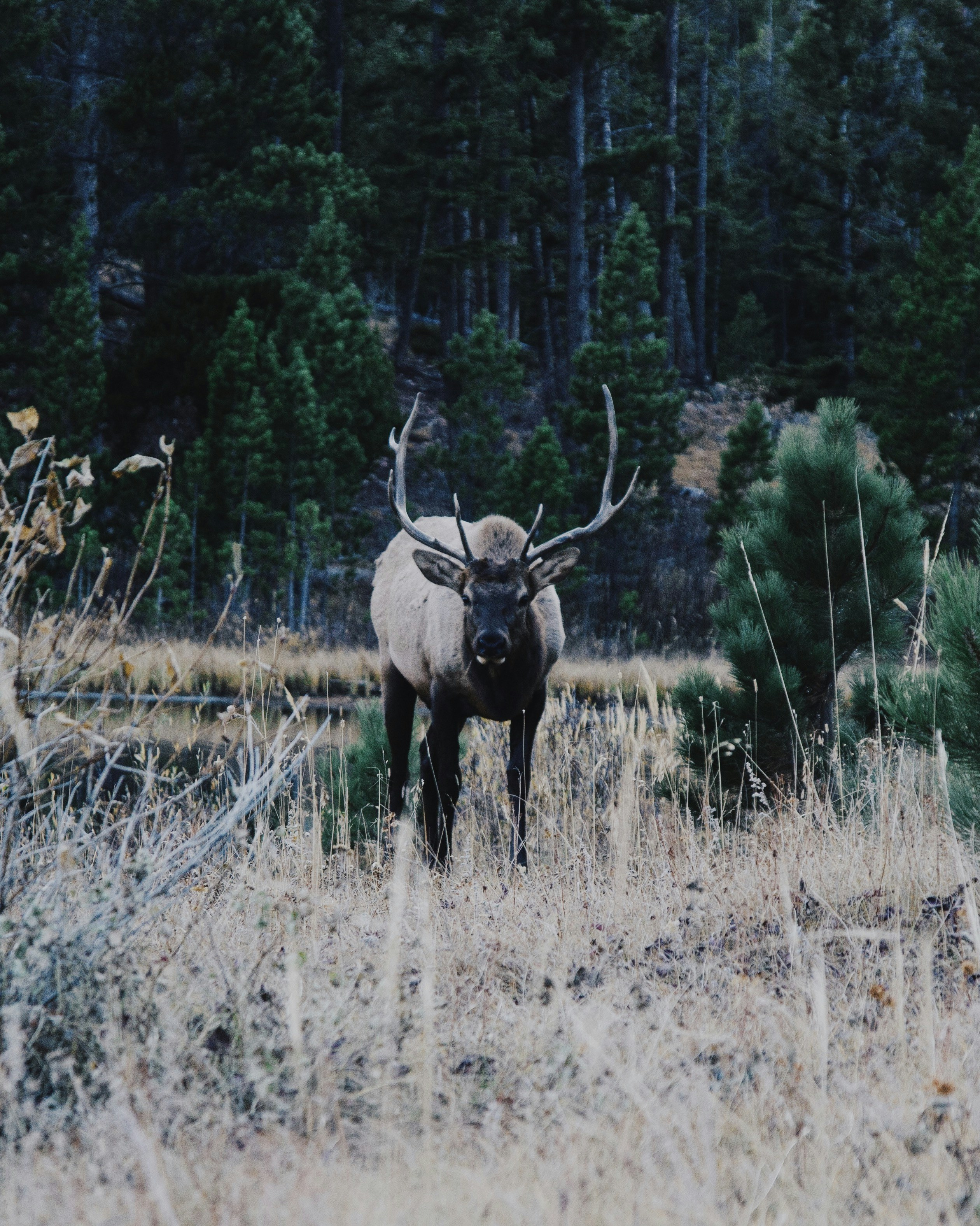 Photo by iam_aspencer