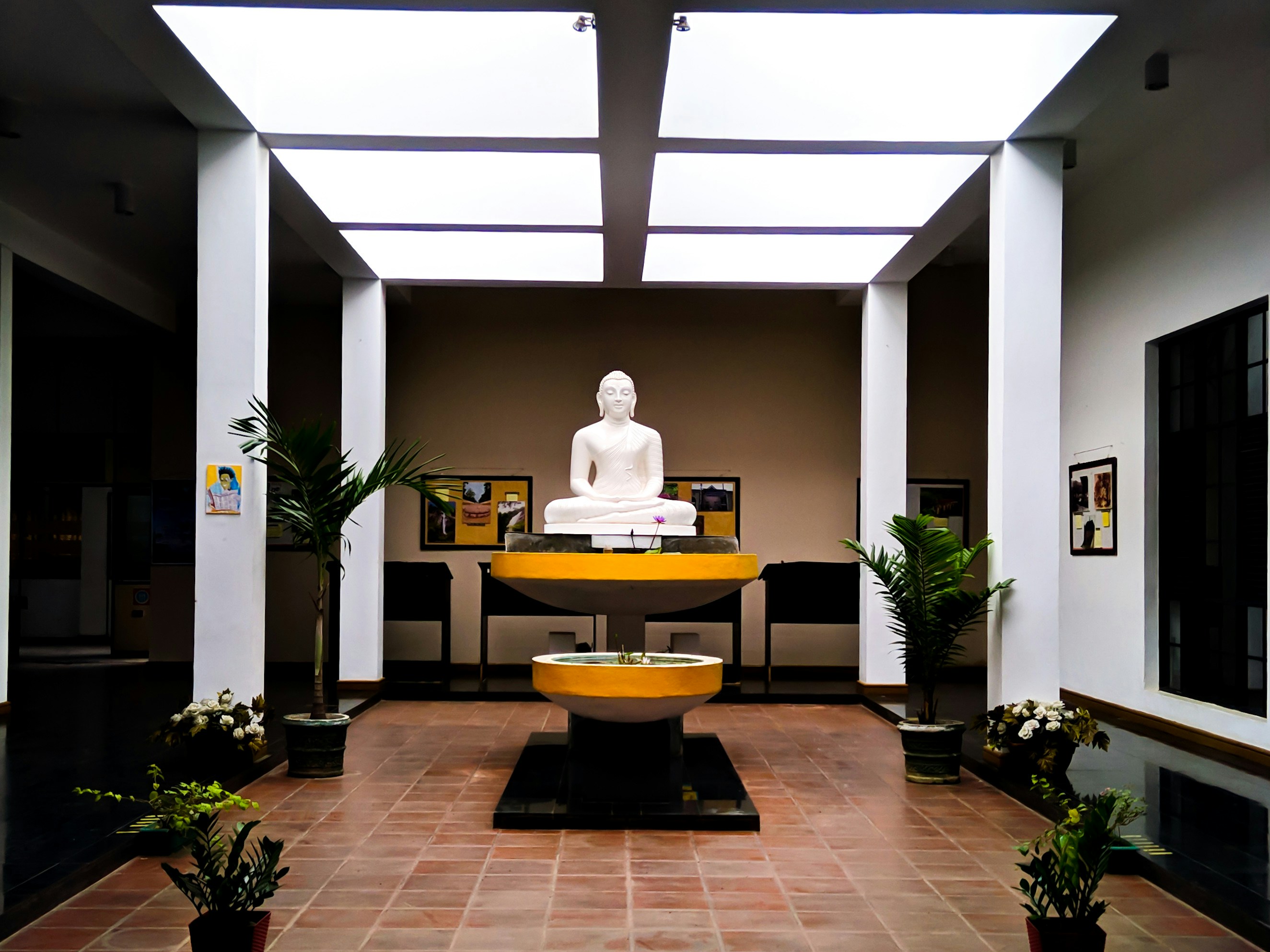 Experiencia ejecutiva de lujo